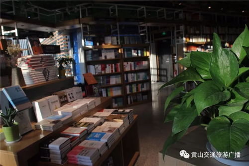 我市首个共享书店来袭 凭高颜值成新晋网红打卡地