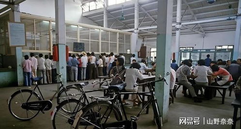 八十年代孤女被领养后的人生反转 亲情比血缘更暖人心