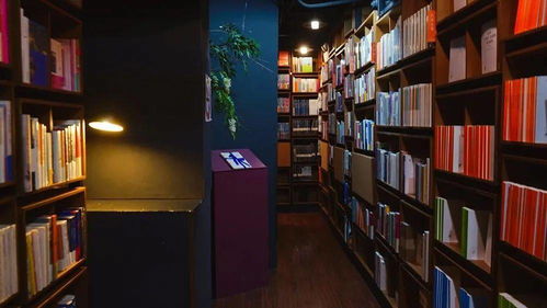 新生特刊 复旦周边有哪些书店